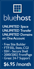 bluehost web site hosting services