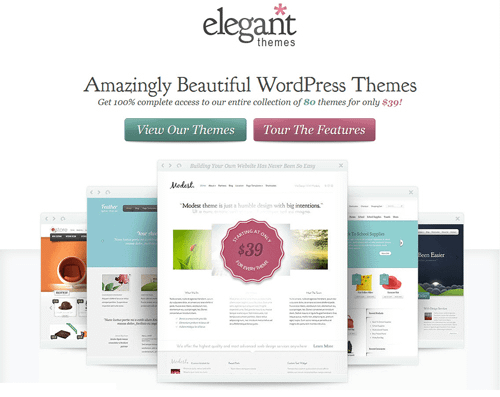 Premium WordPress Themes Providers - ElegantThemes Review
