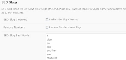SEO Slugs